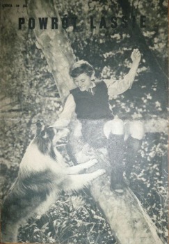 Powrót Lassie 1943